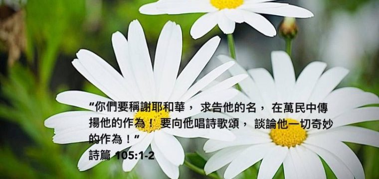 2021歲末年終 – 數算主恩徵文活動