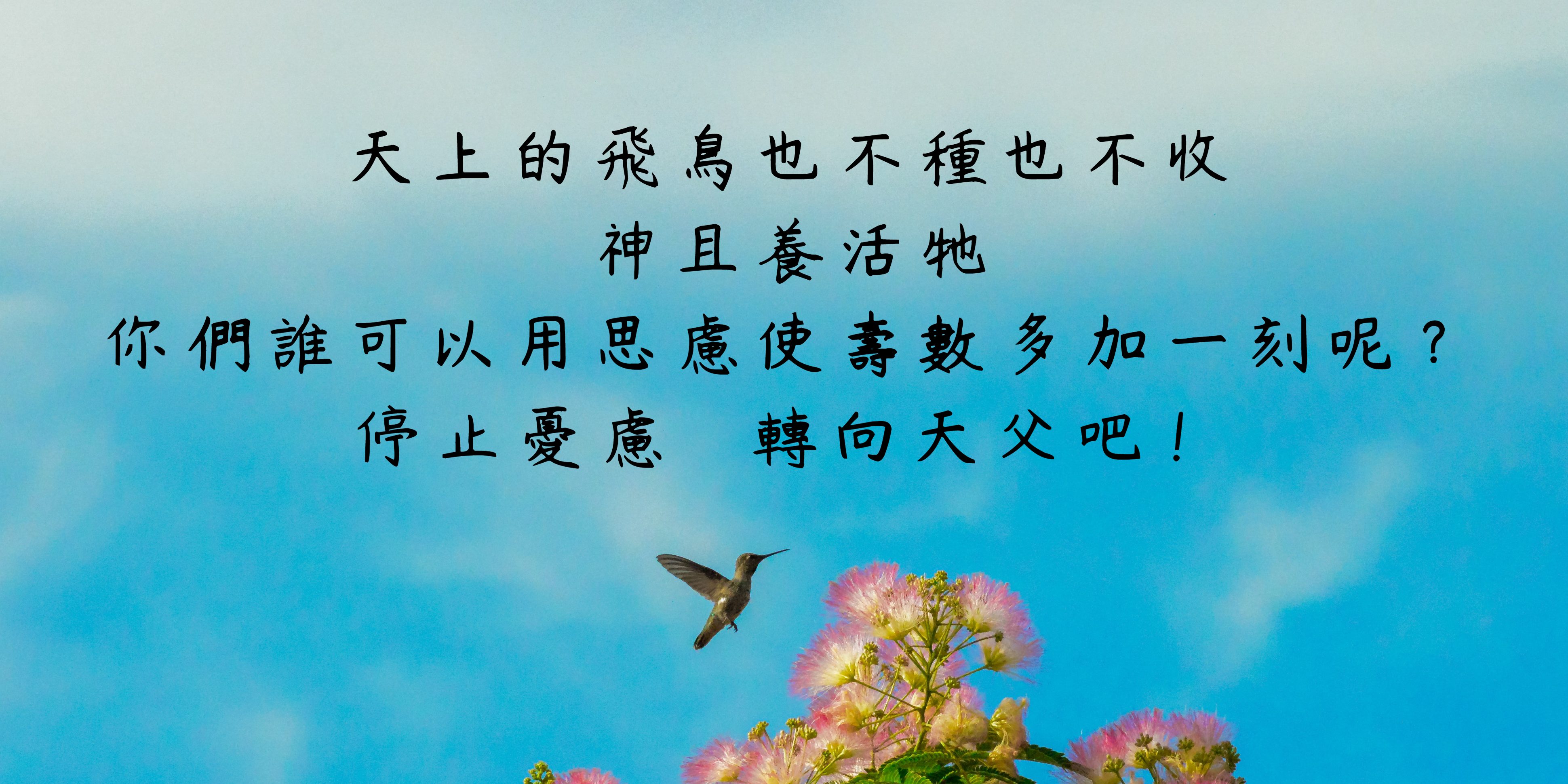 路加福音12 : 22 – 34