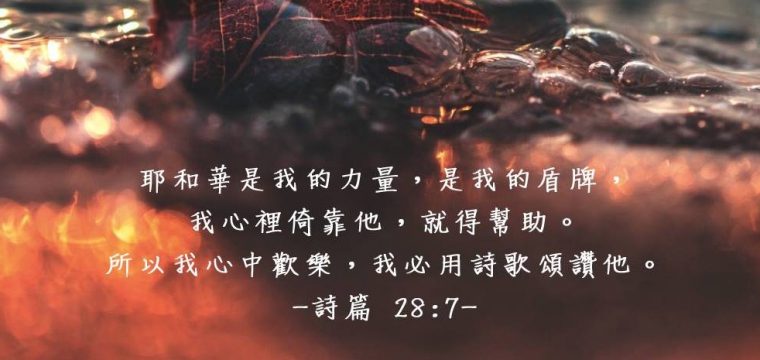 以斯拉6:1-12