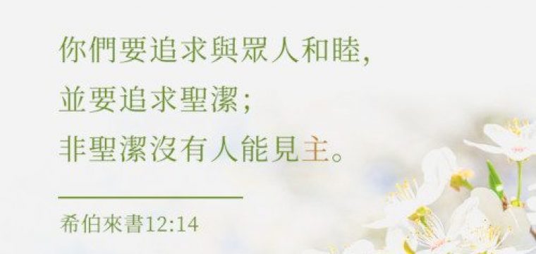 《哥林多前書 6:1-11》