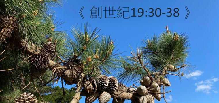 活潑的生命讀經進度 – 今日閱讀經文： 《 創世紀19:30-38 》