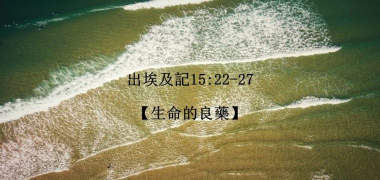 每日活水讀經進度 – 今日閱讀經文：《出埃及記15:22-27》